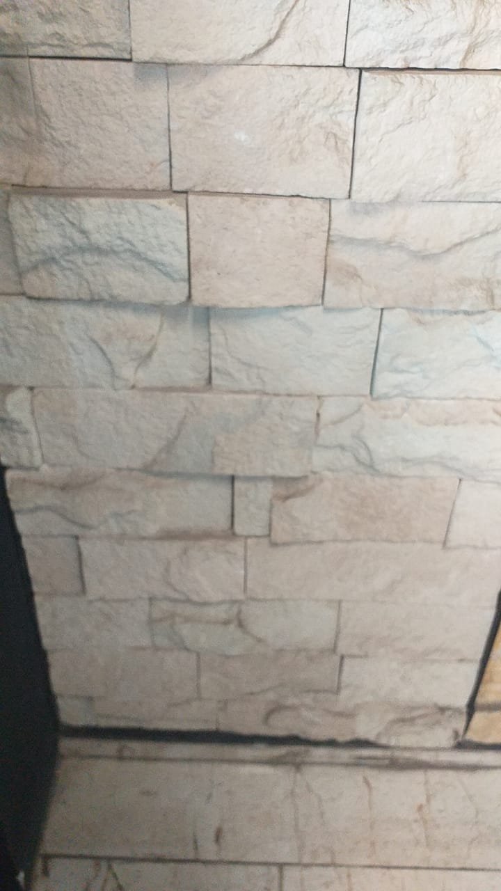 WhatsApp Image 2025-10-15 at 11.09.46 AM (2)