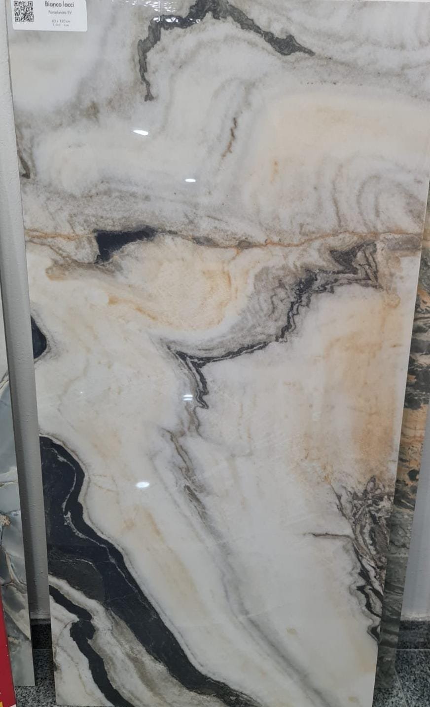 WhatsApp Image 2025-10-22 at 1.54.47 PM